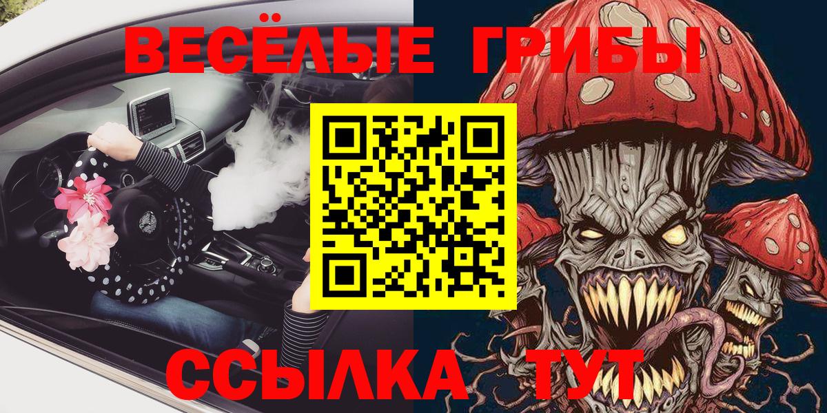 Галлюциногенные грибы Psilocybe  Вход с VPN  Псилоцибиновые грибы GOLDEN TEACHER  Канск 